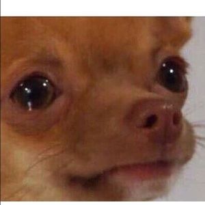 Meet your Posher, Natasha